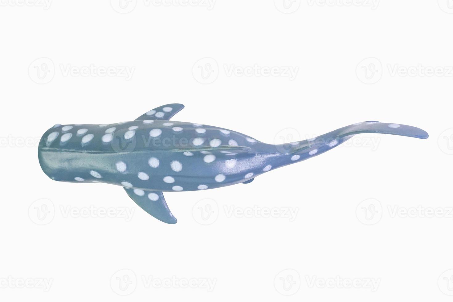 figure toy Whale Shark isolated closeup image. photo