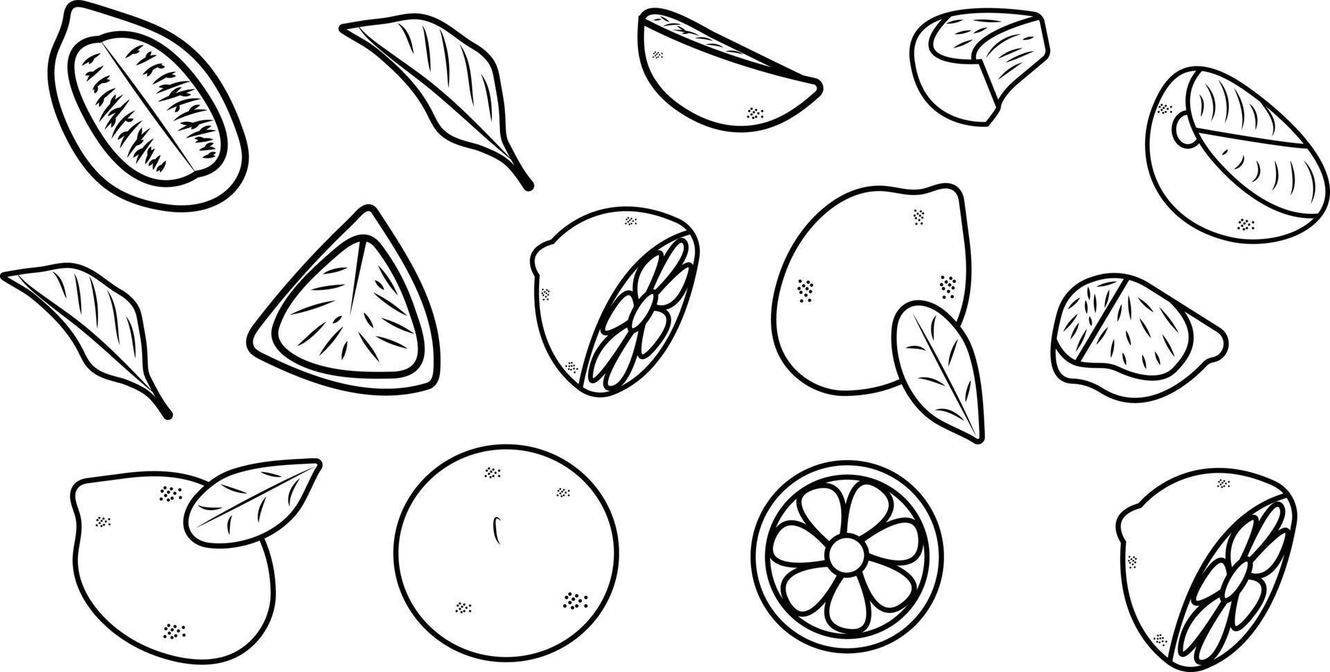 Lemon in many shapes vector illustration