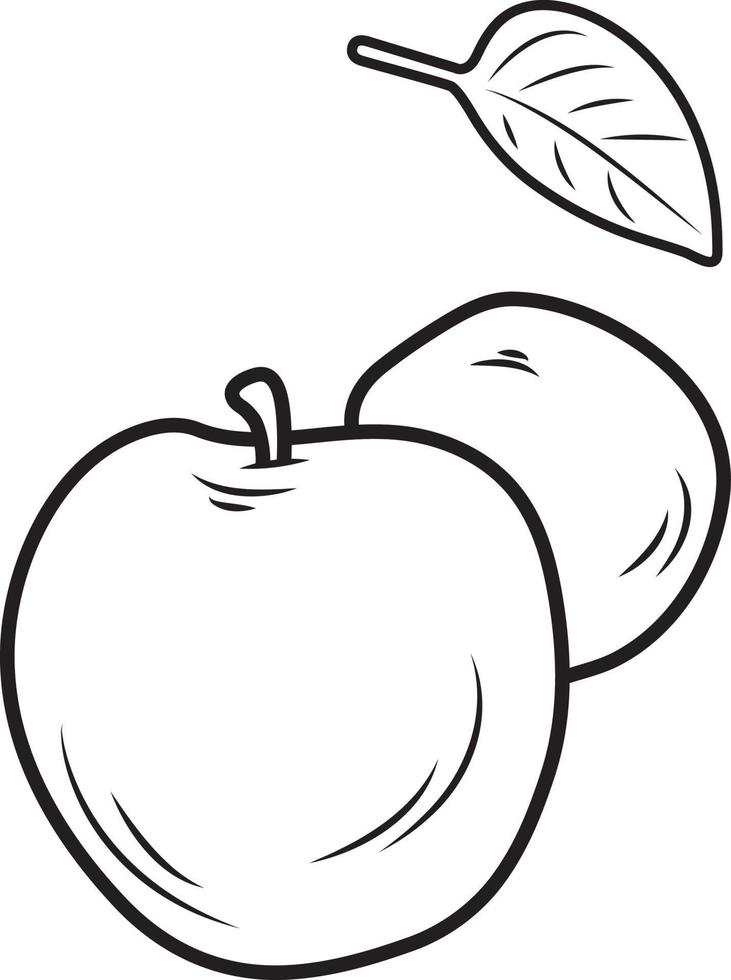 Apple vector illustration with leaves