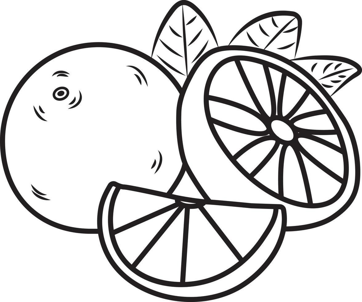 orange fruits in three shapes full half and slice vector illustration doodle
