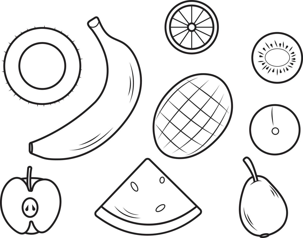 manzana, plátano, mango, kiwi, melocotón, coco y sandía. ilustración vectorial vector