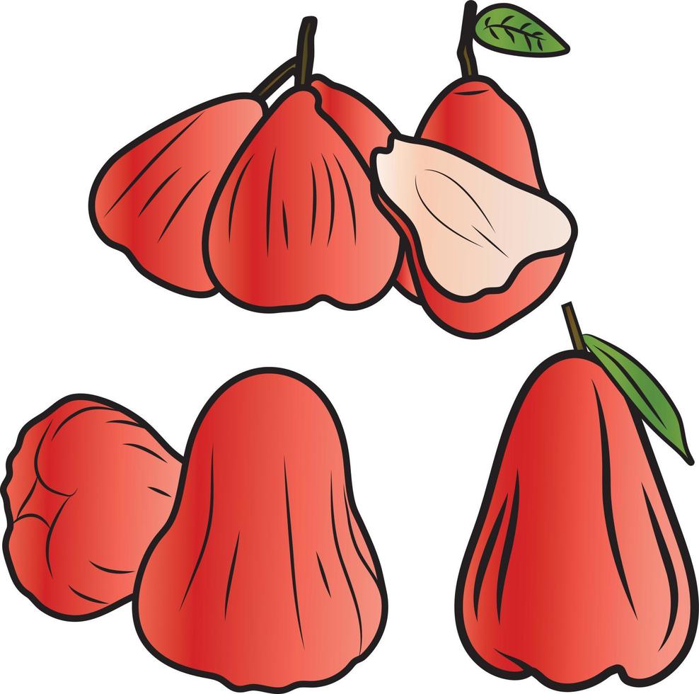 ilustración de garabato vectorial de manzana rosa para web e impresión vector