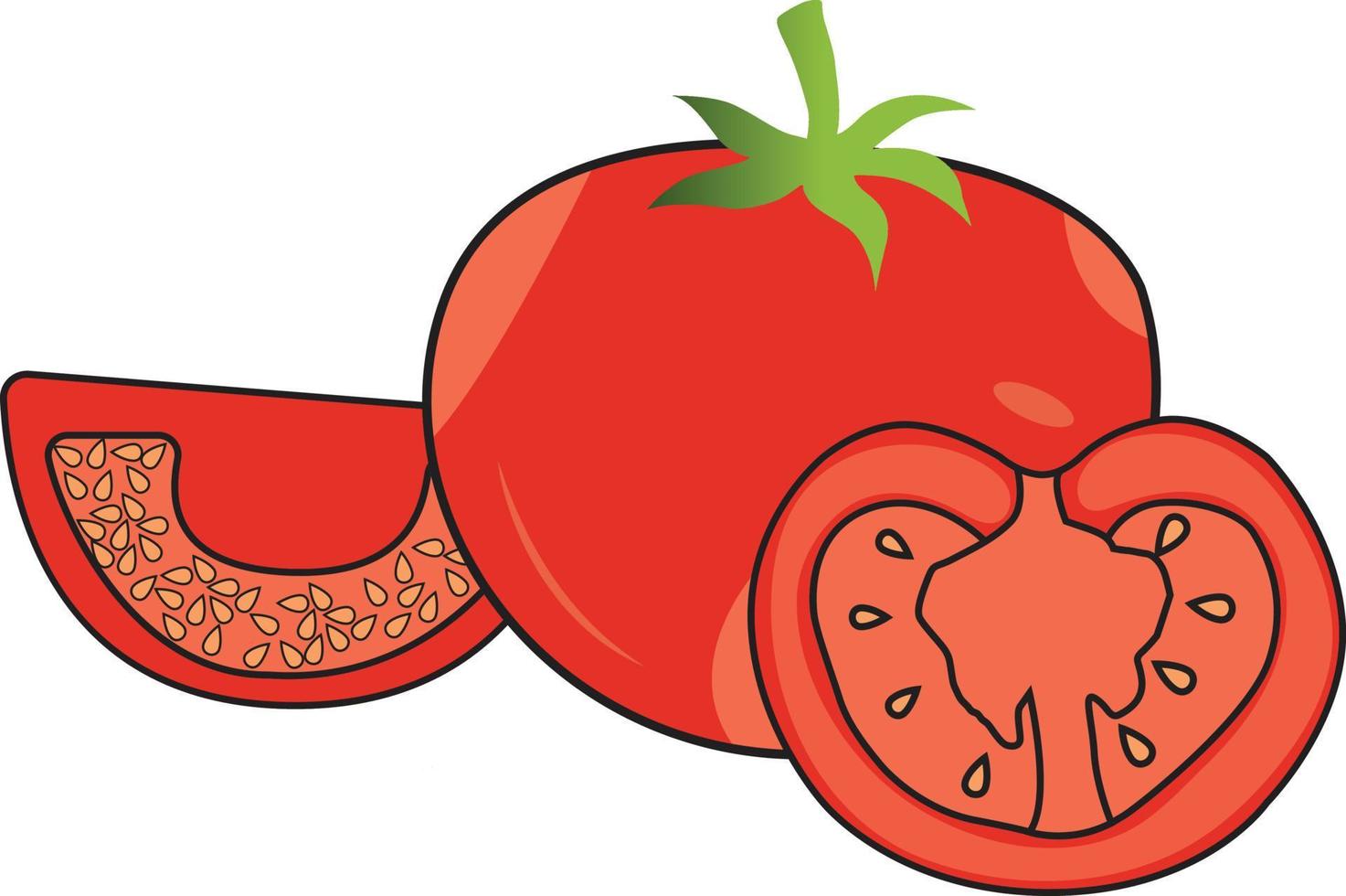 ilustración vectorial de tomate rojo colorido con pieza completa y rebanada. vector