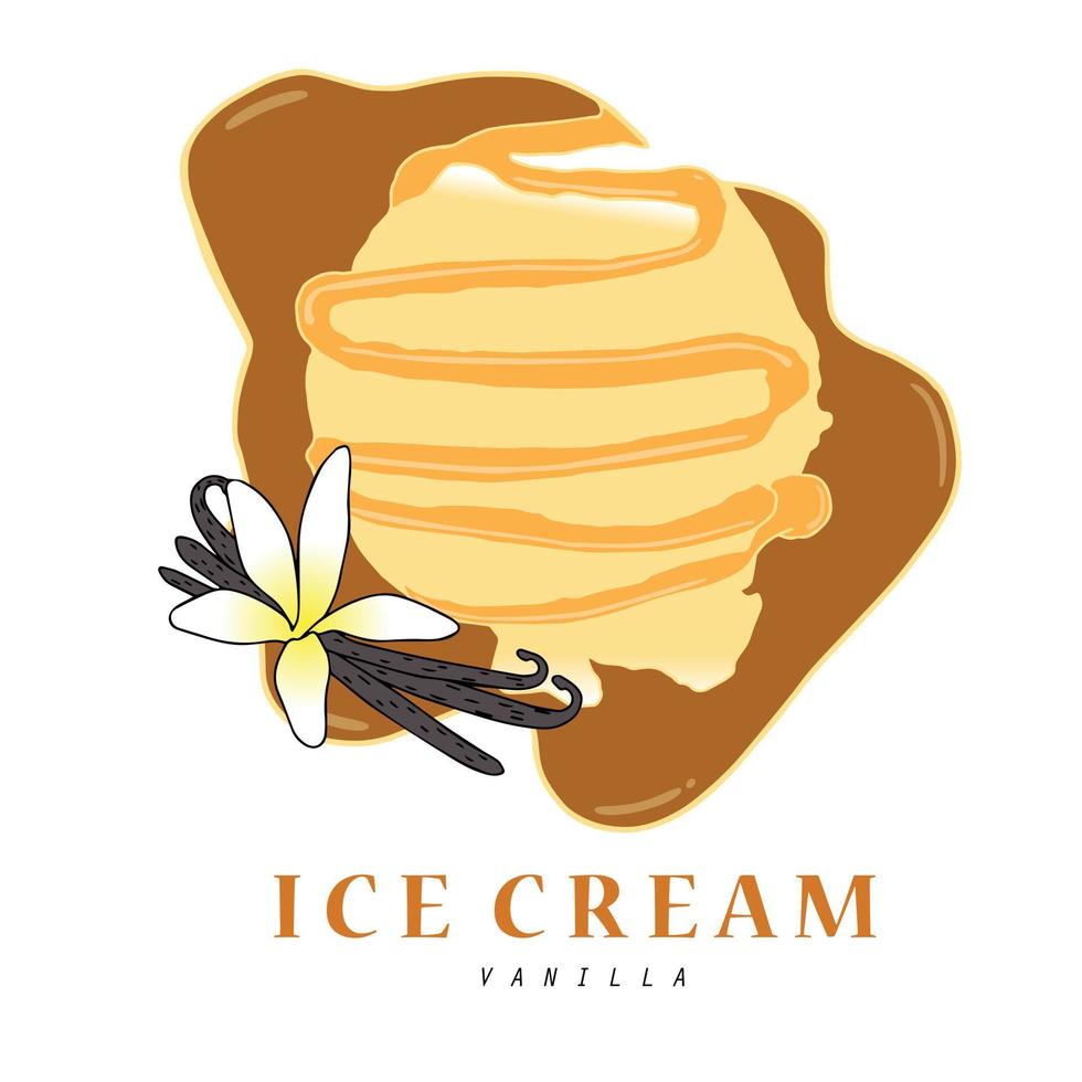 00085 Ball of Vanilla ice cream scoop closeup composition with aromatic dried beans and fresh yellow flower vector illustration on white.