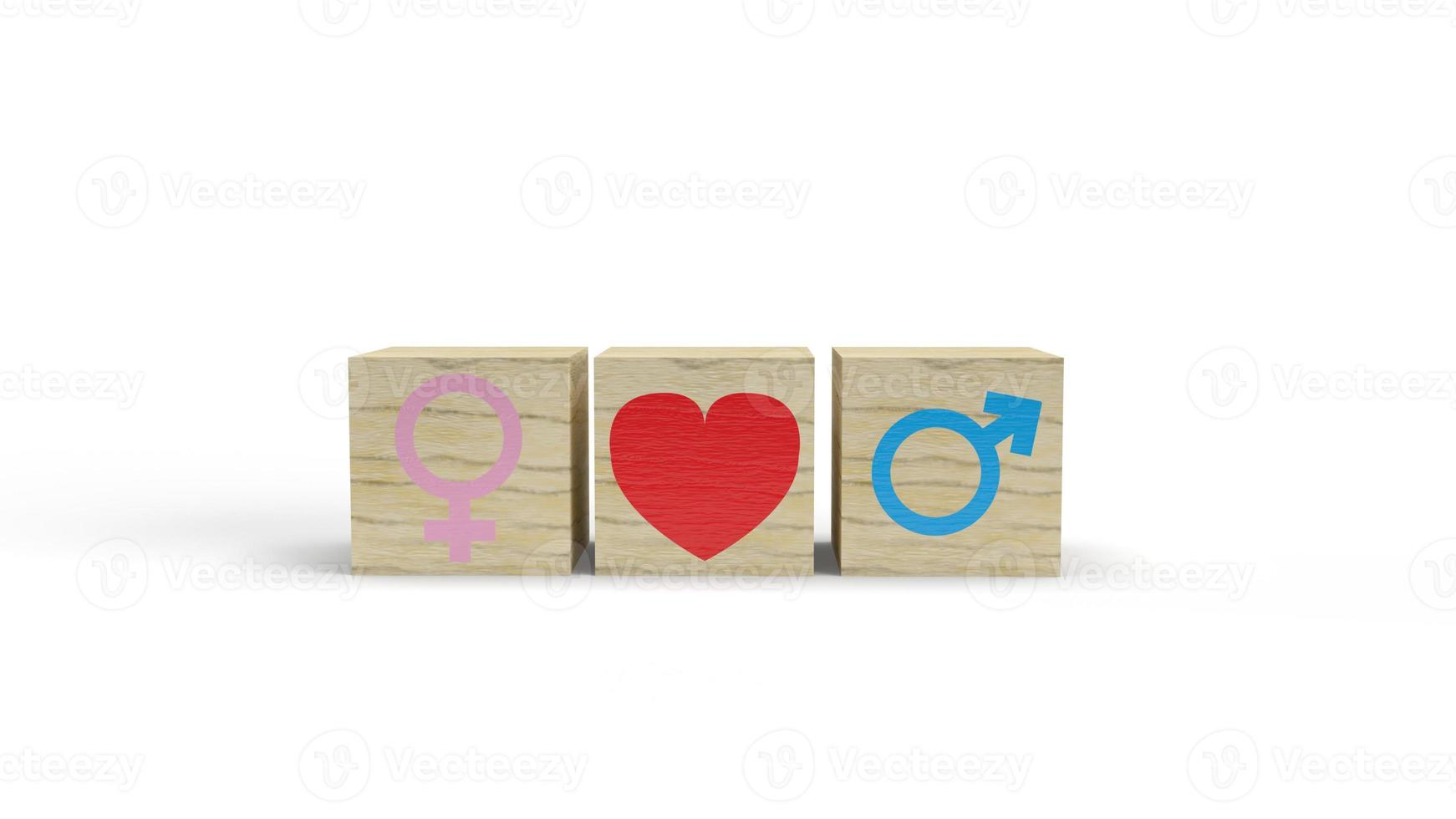 The gender on wooden cube with symbol to love 3d rendering  for valentine day. photo