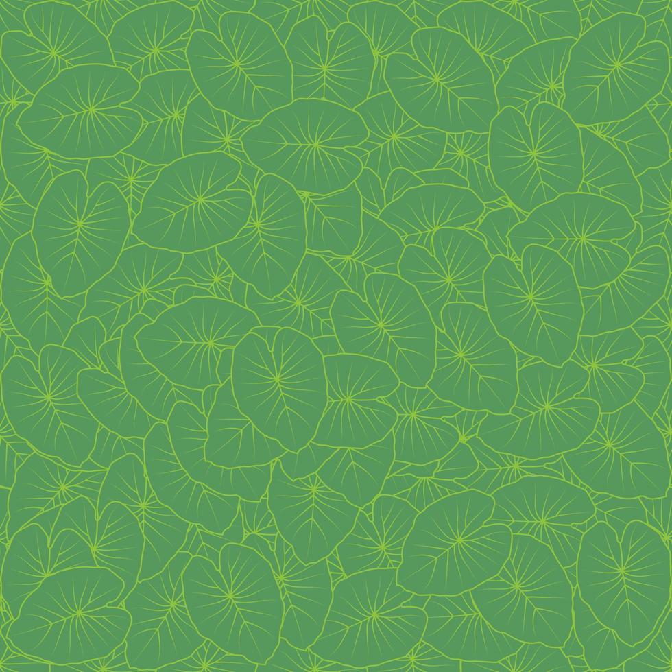 transparente con vector de hojas de abedul verde