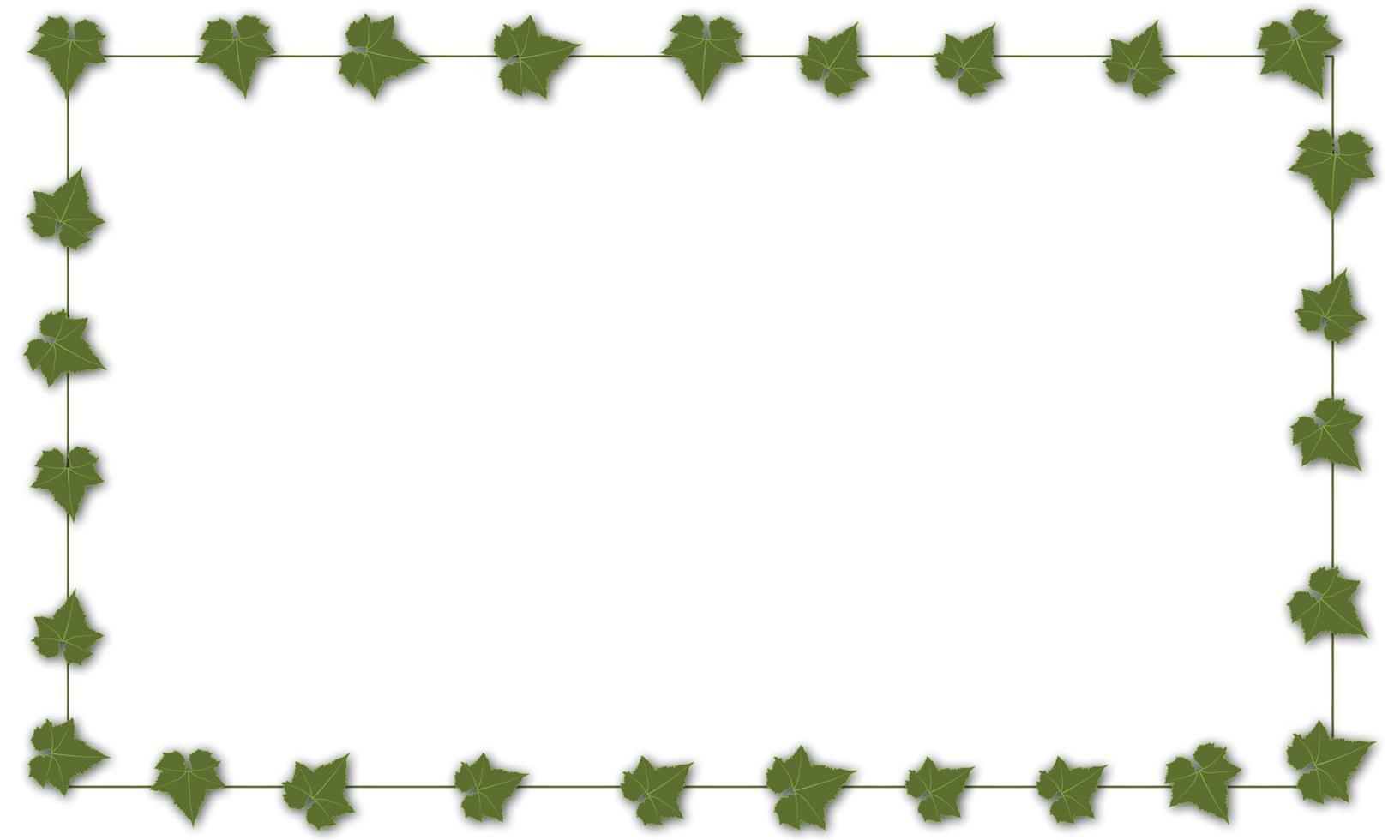 Leaves frame on  background vector