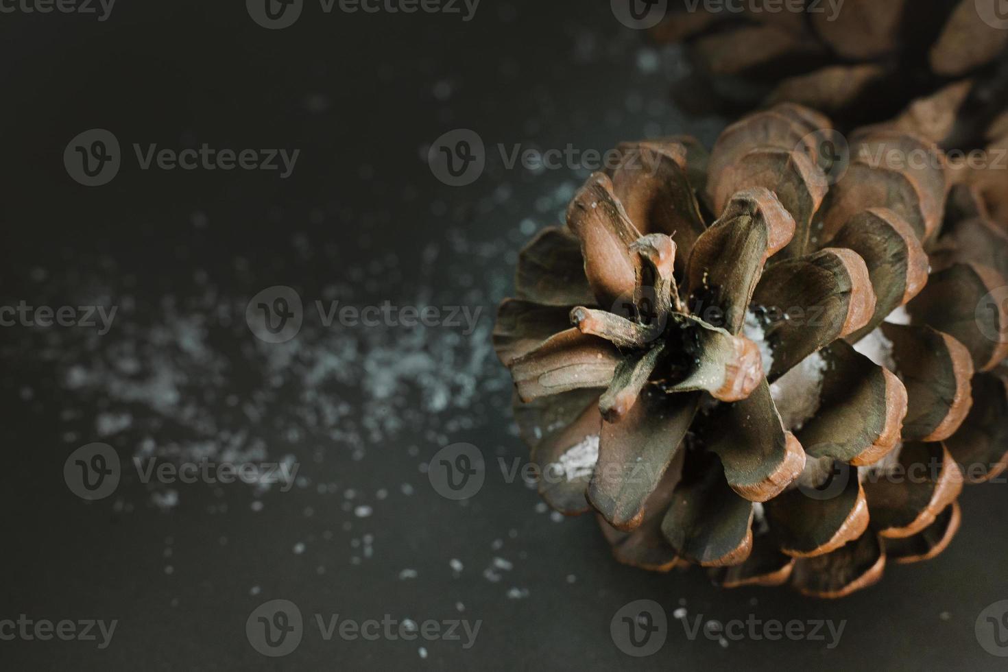 Pine cones on black image background. photo