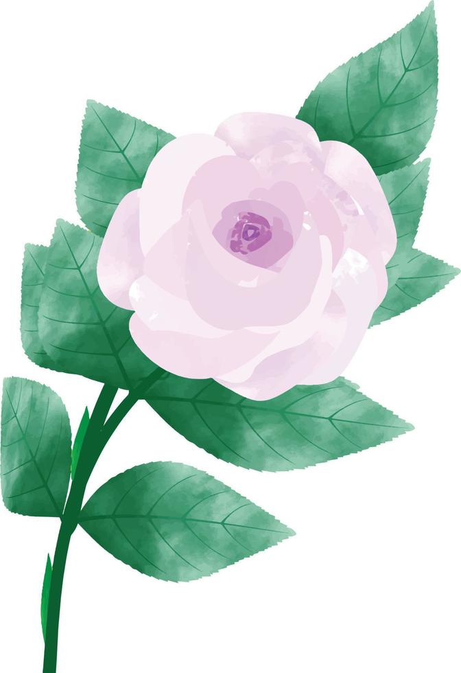 Digital Watercolor Flower and Leaves Illustration. You can use this design to print on greeting cards, frames,  mugs, shopping bags etc. whatever you want. vector