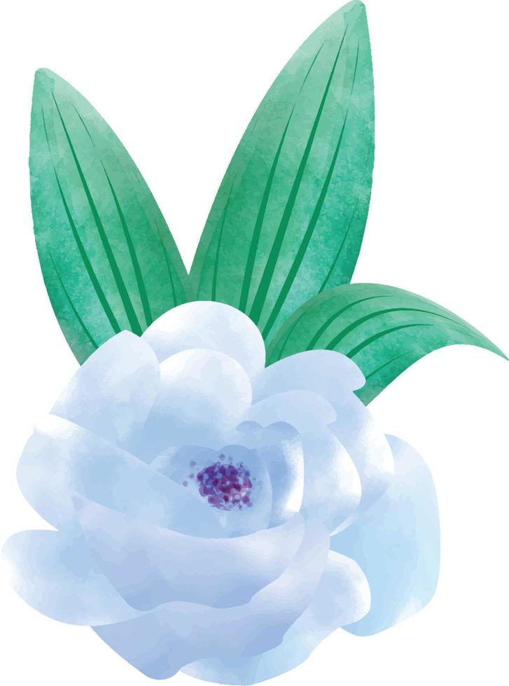 Digital Watercolor Flower and Leaves Illustration. You can use this design to print on greeting cards, frames,  mugs, shopping bags etc. whatever you want. vector