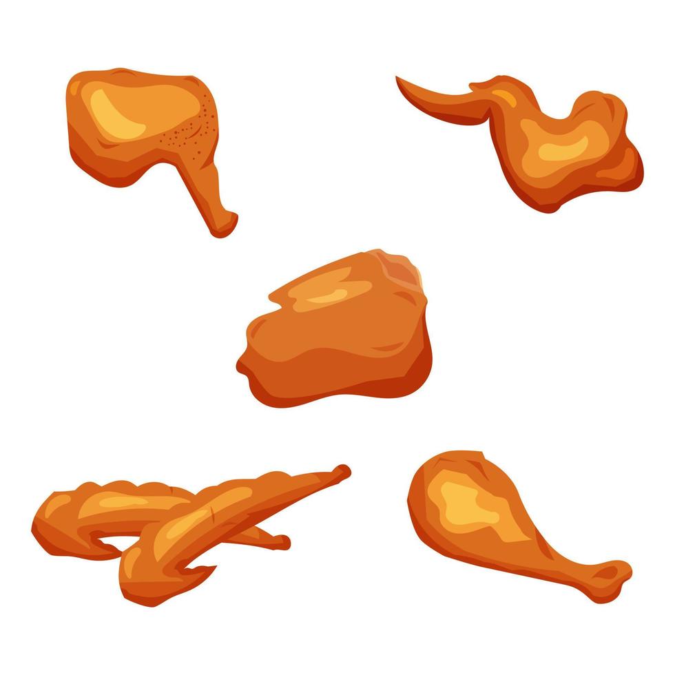 Beautiful delicious fried chicken set vector