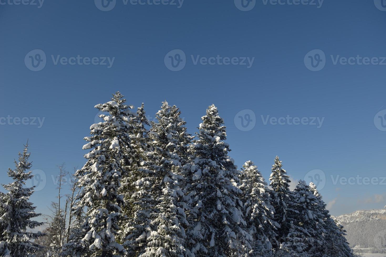 winter mountain landscape photo