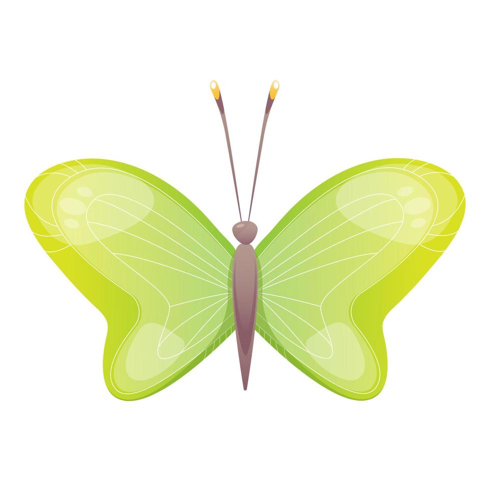 Bright magic colorful butterfly. Vector isolated illustration.