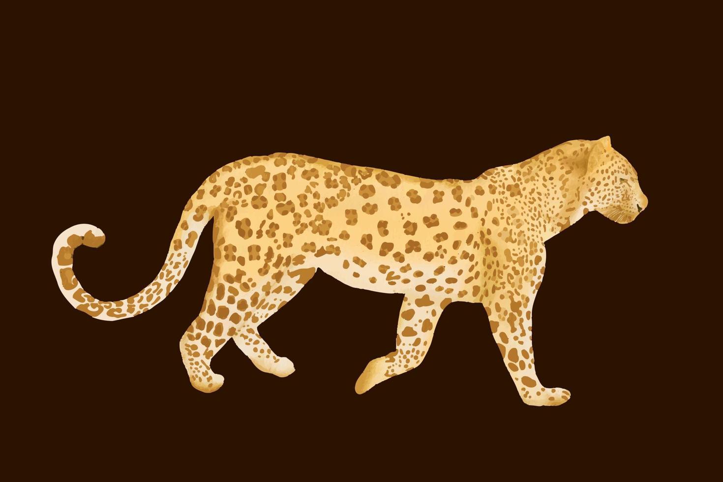 leopard vector drawing in watercolor