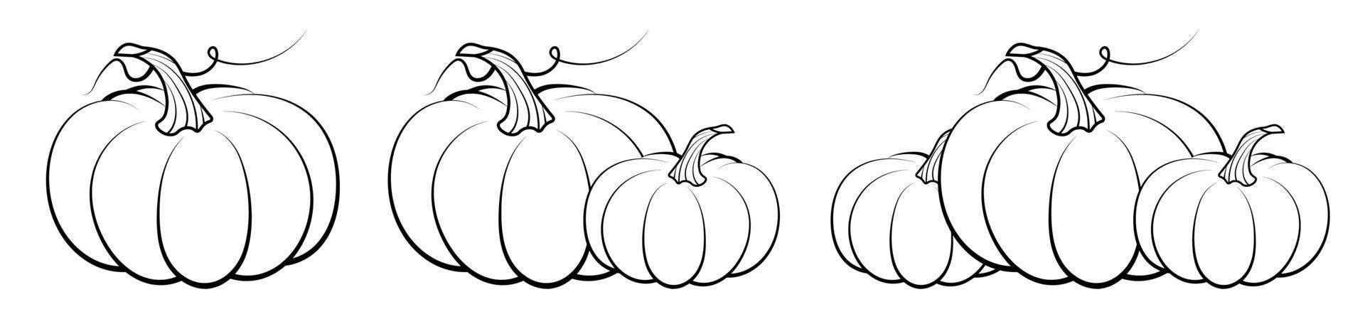 orange pumpkin fruit. Autumn harvest. Autumn Halloween pumpkins. Edible plants. Isolated vector on white background in linear style