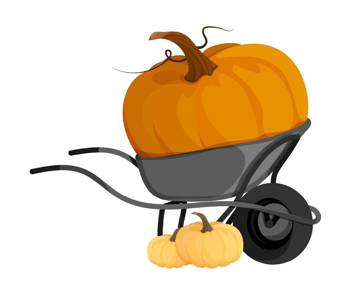 big pumpkin fruit in garden wheelbarrow. Autumn harvest. Autumn Halloween pumpkins. Edible plants. Isolated vector on white background in cartoon style