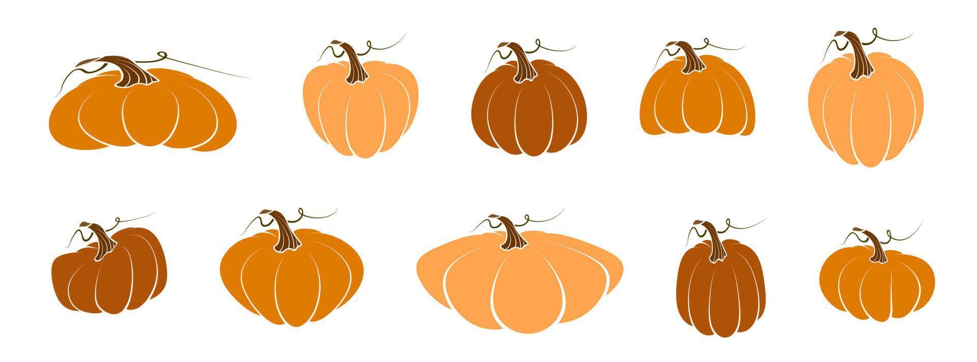 pumpkin fruit set. Autumn harvest. Autumn Halloween pumpkins. Edible plants. Isolated vector on white background in flat style