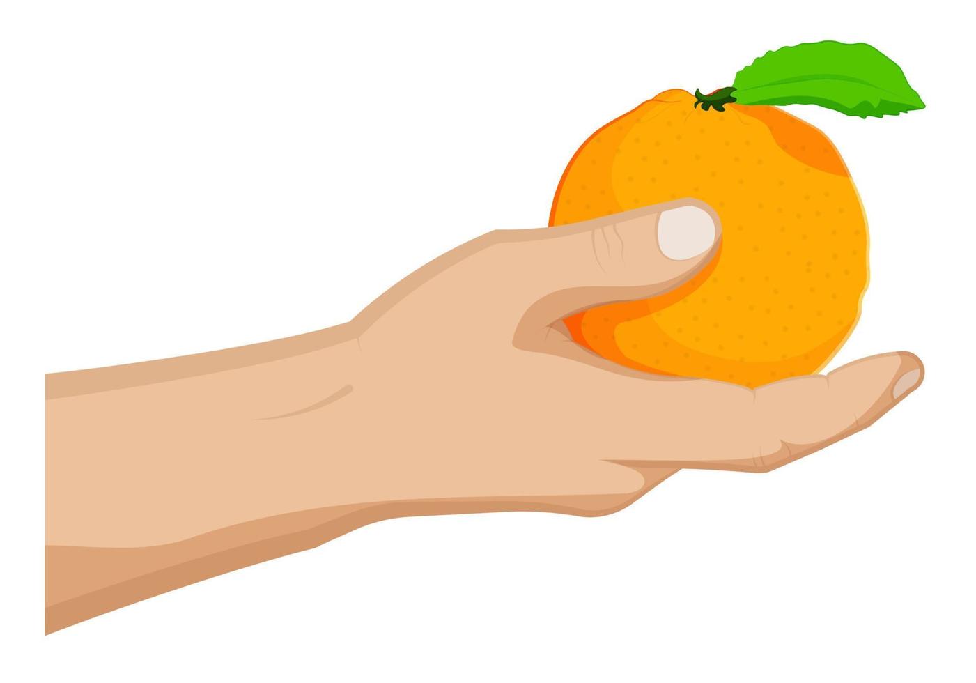 jugosa naranja madura con hoja verde en la mano de un hombre. frutas tropicales de verano. vector de dibujos animados sobre fondo blanco