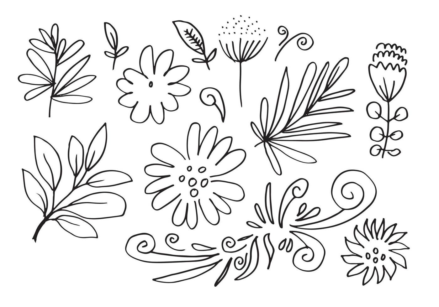 a collection of hand-drawn flower images such as bellflower, chrysanthemums, sunflowers, cotton flowers, and tropical leaves vector