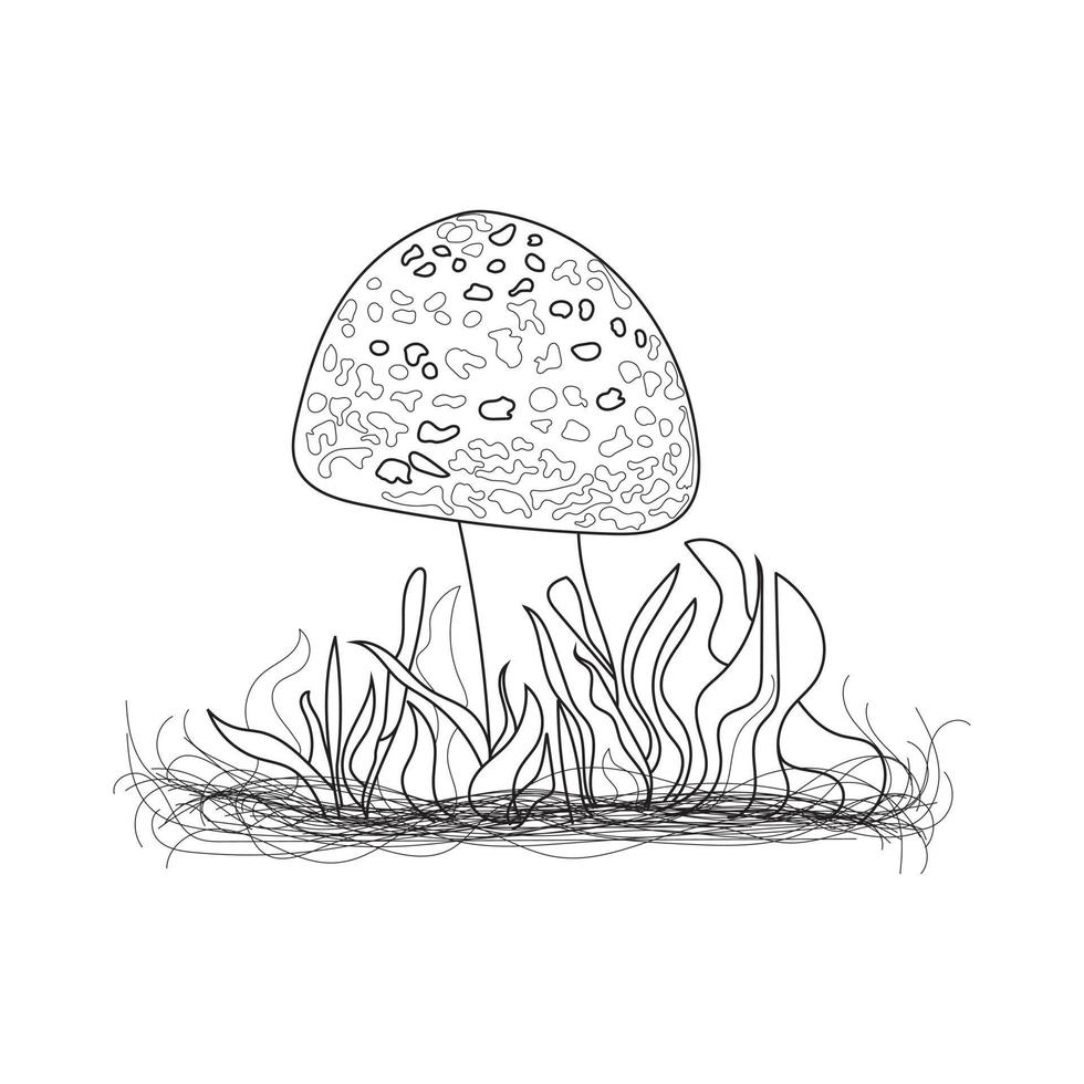 Mushrooms line art. A symbol of the autumn, forest, and harvest. Mushroom illustration. vector