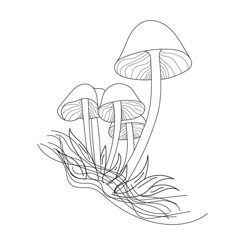 Mushrooms line art. A symbol of the autumn, forest, and harvest. Black line art vector