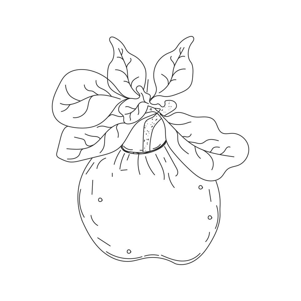 Hand drew apple beautiful whole fruit. A single illustration of an apple line art fruit vector