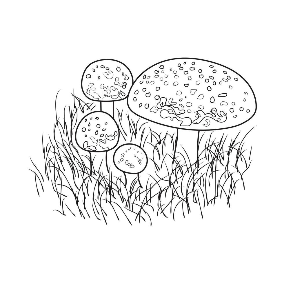 Mushrooms line art. A symbol of the autumn, forest, and harvest. Black mushroom illustration. vector