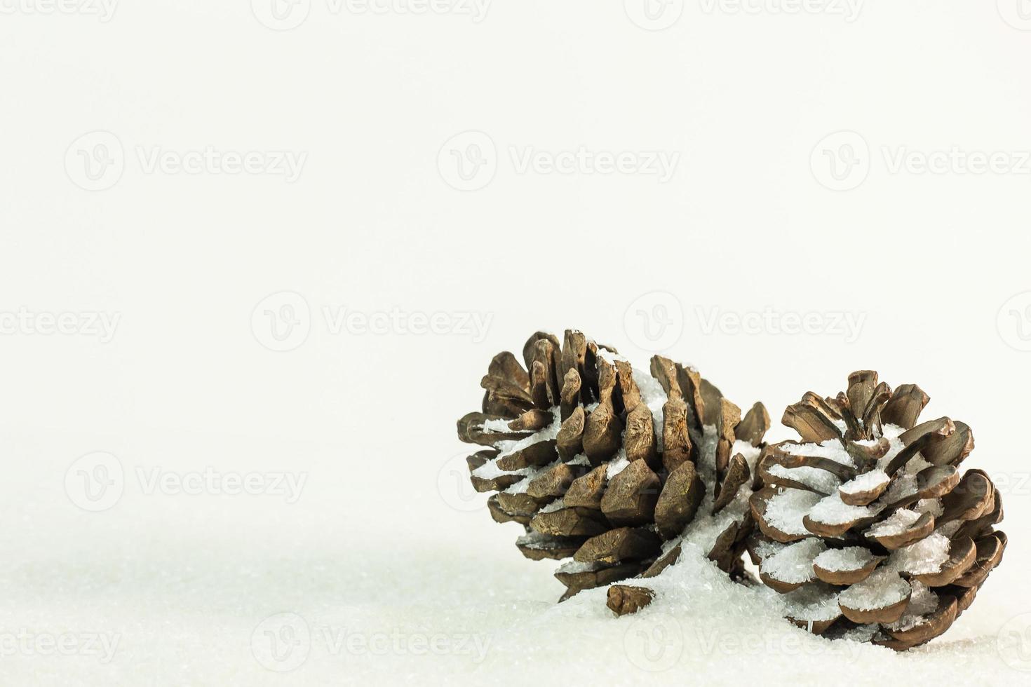 Pine cones on snow image background. photo