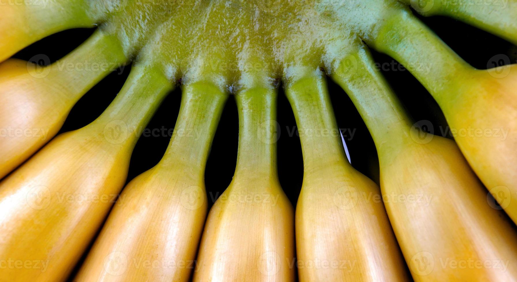 A branch of tasty yellow bananas. Ripe bananas. photo