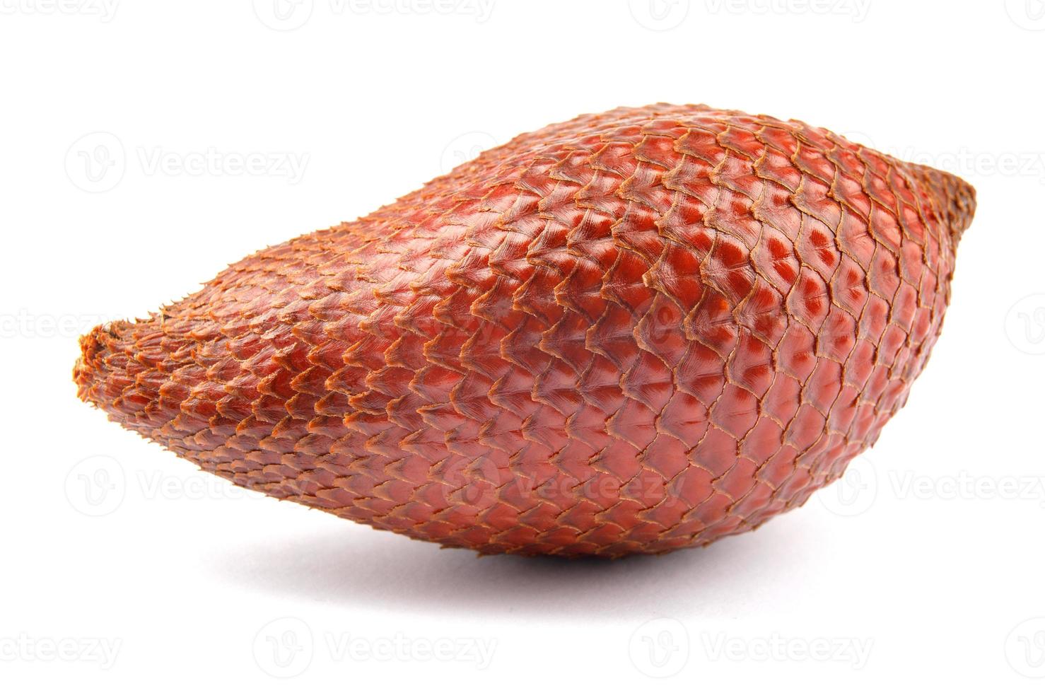 Fresh snake fruit is isolated on a white background.Red Salacca. Salak fruit. Salacca zalacca, Snake fruit . photo