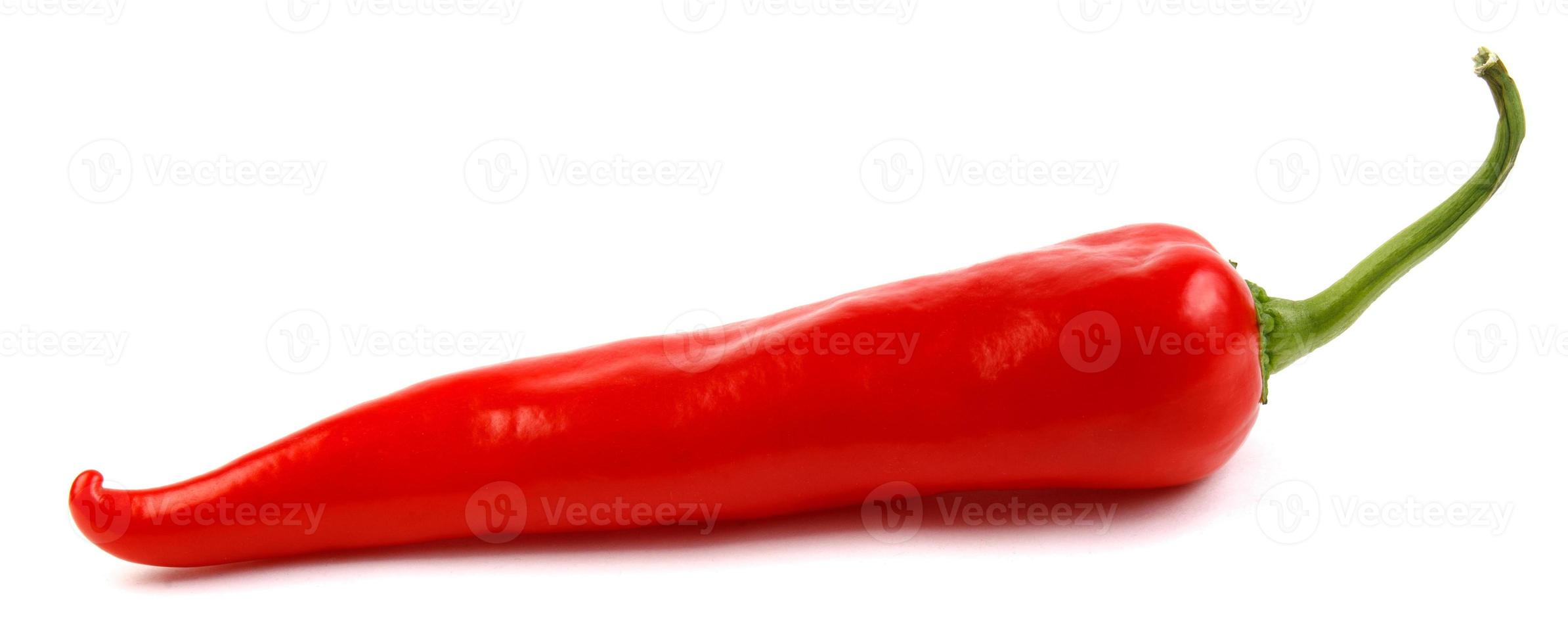 Red pepper is isolated on a white background. photo