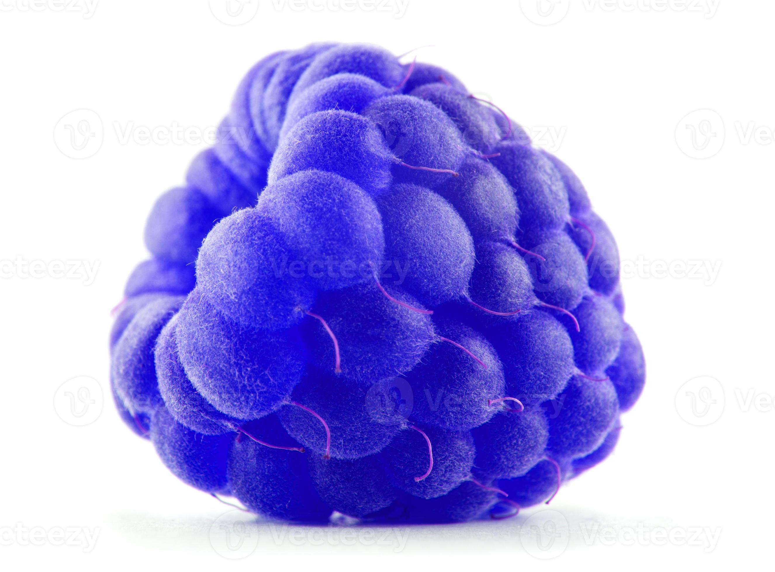 The blue raspberry berry is isolated on a white background. Full