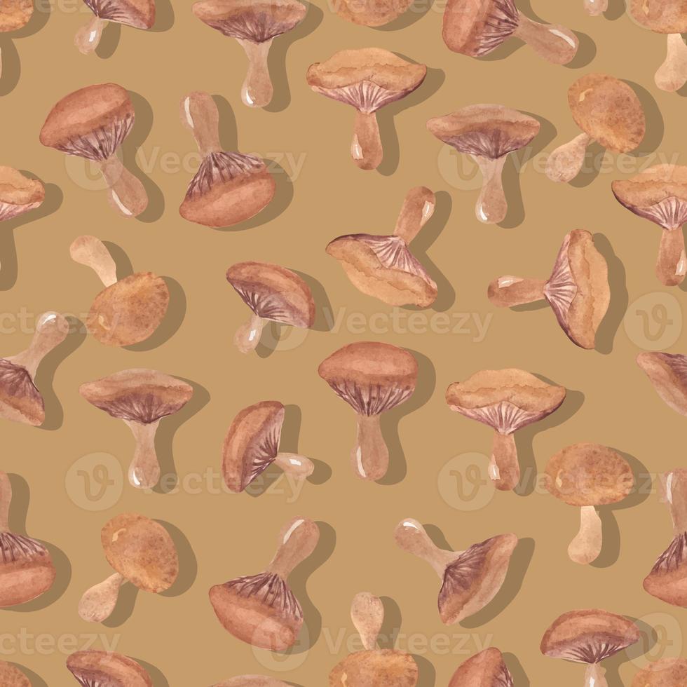 autumn watercolor mushrooms with wavy cap seamless pattern isolated hand drawn photo