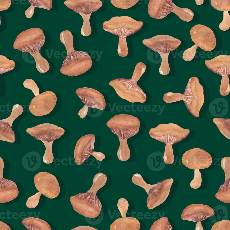 autumn watercolor mushrooms with wavy cap seamless pattern isolated hand drawn photo