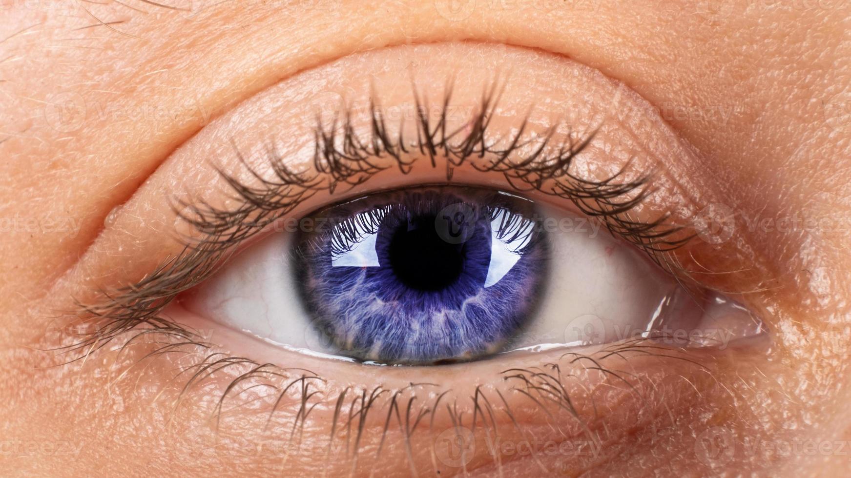 blue-gray female eye closeup photo