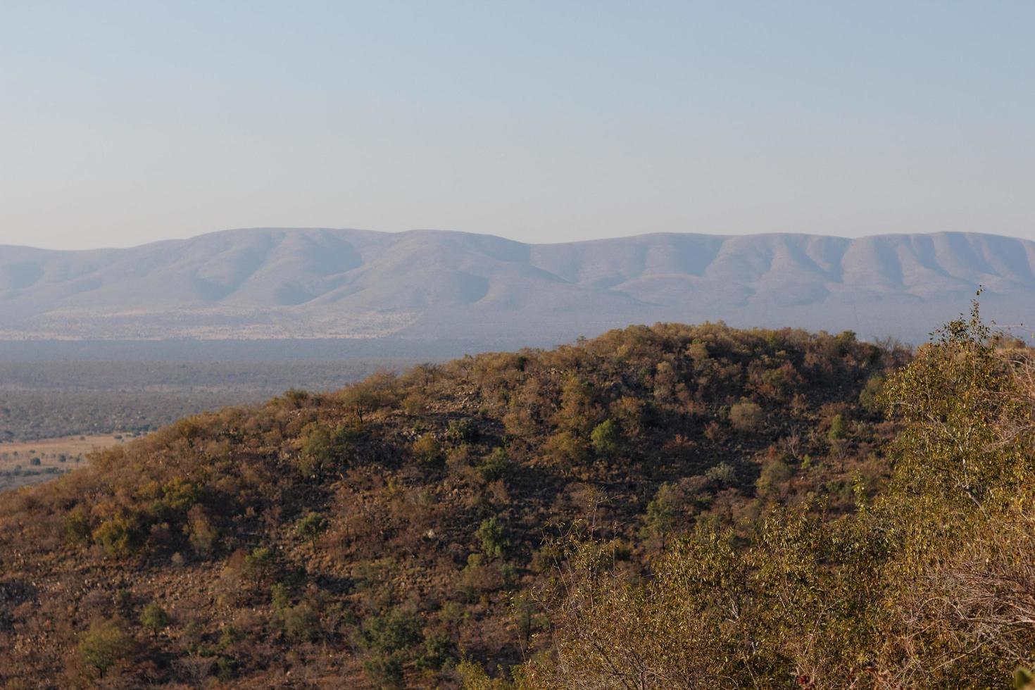 vista de la sabana arbolada de mabula foto