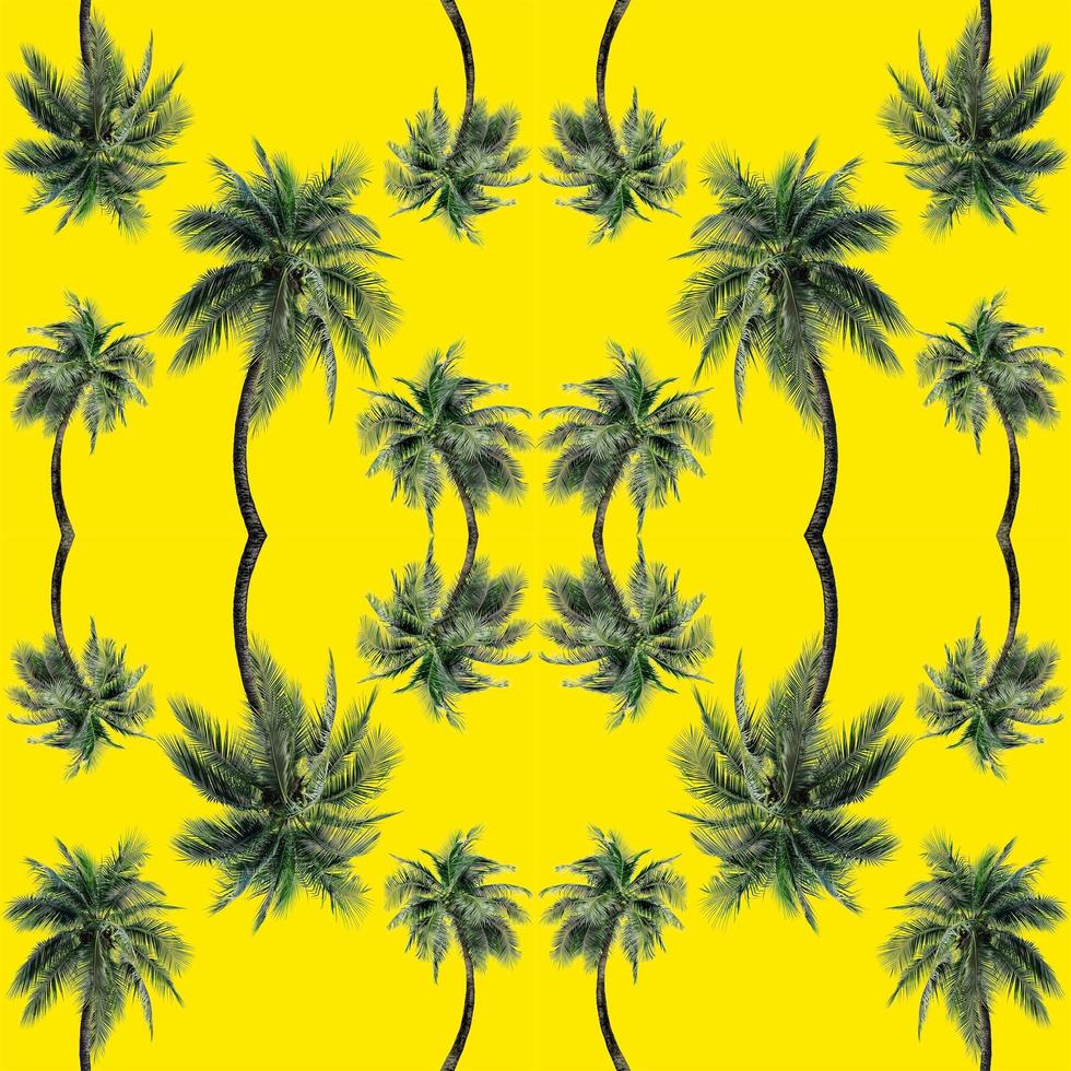 Green palm leaves pattern for nature concept,tropical coconut tree isolated on yellow background photo