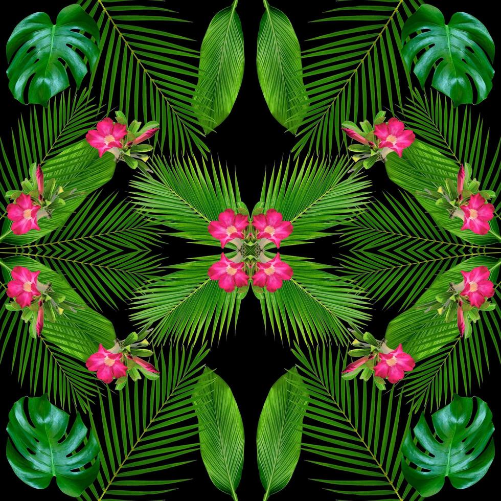 Green monstera leaves pattern for nature concept,tropical leaf textured background photo