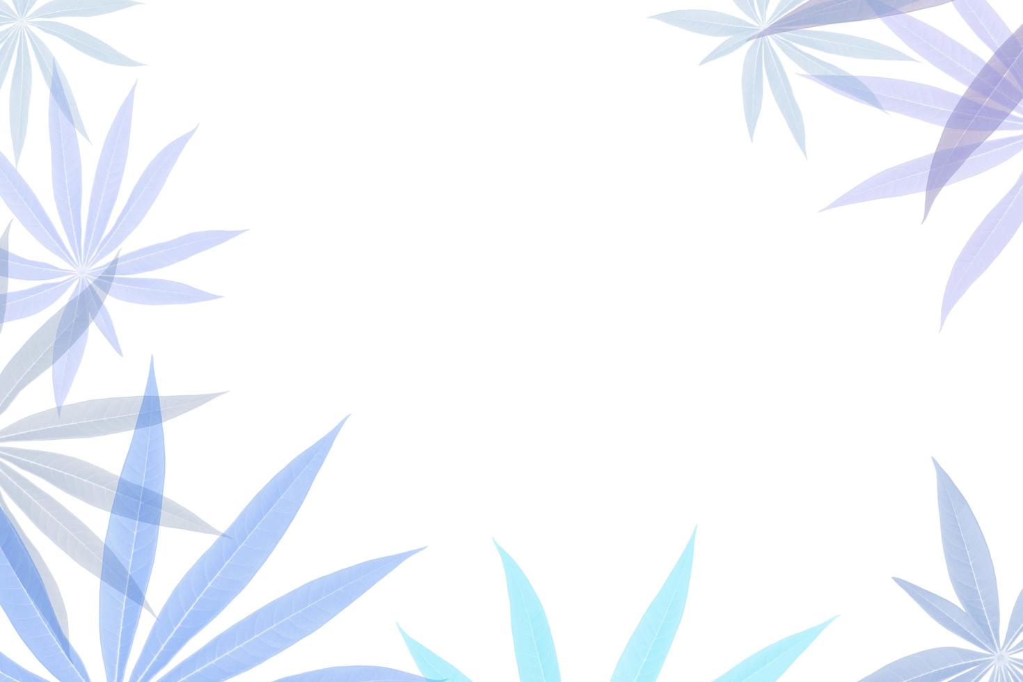 colorful leaves pattern on white background,gradient color pastel autumn leaf,ideas graphic design for web or banner photo