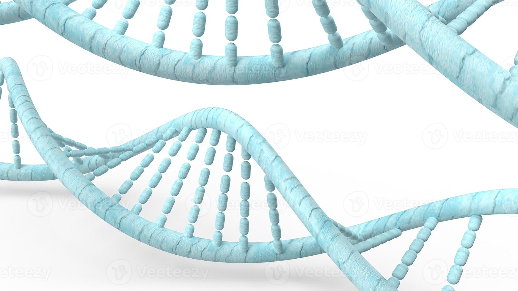 blue DNA in white background for  medical concept 3d rendering. photo