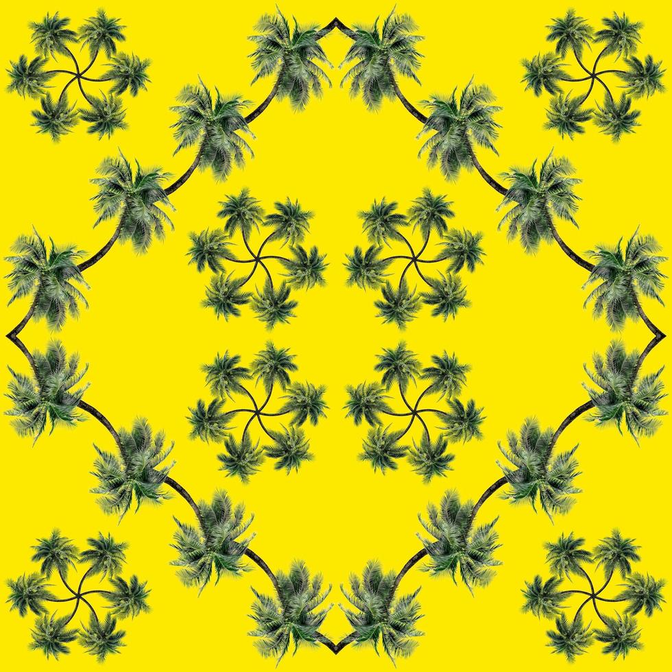 Green palm leaves pattern for nature concept,tropical coconut tree isolated on yellow background photo