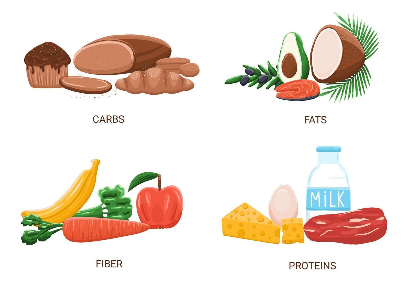 grupo de alimentos vector