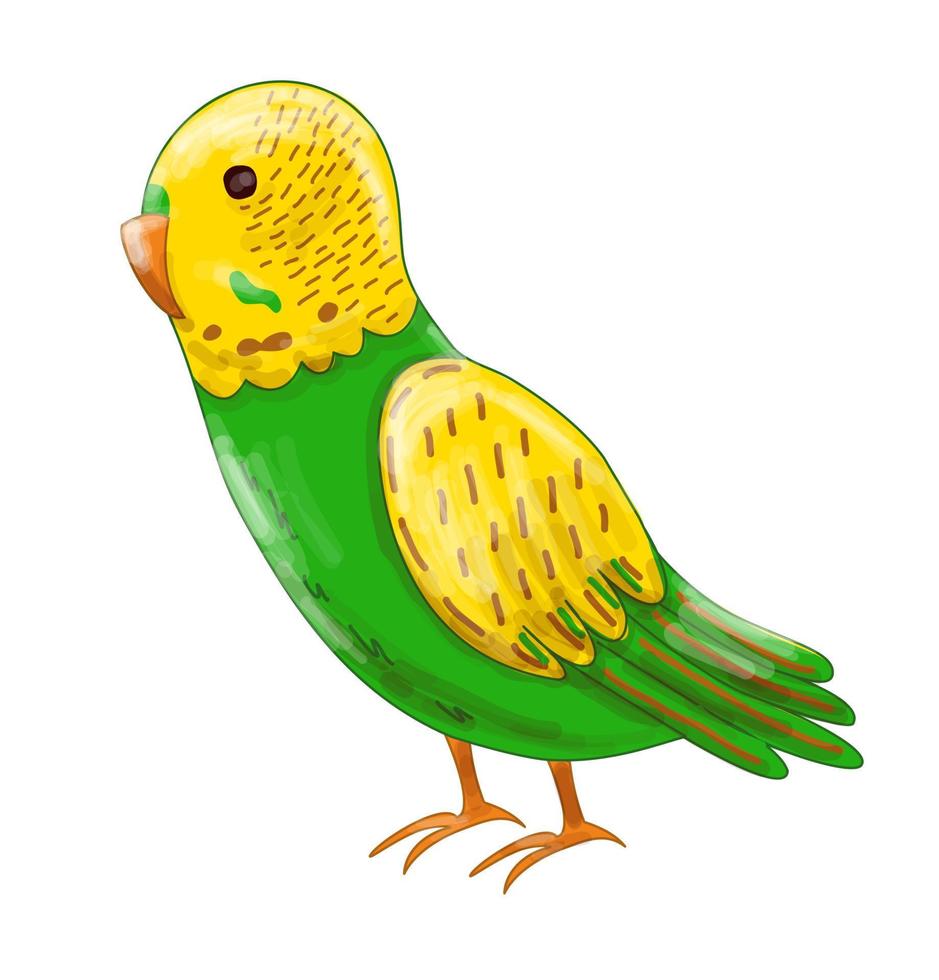 Cartoon green parrot vector