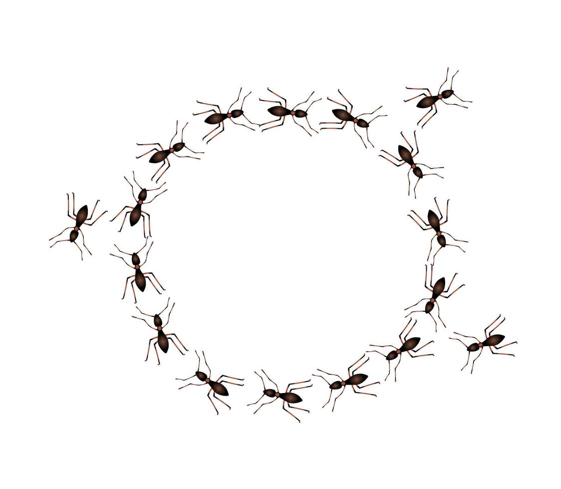 ant trail circle vector