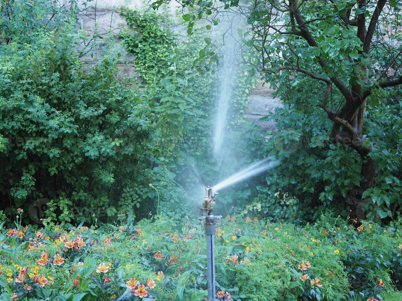 irrigation sprinkler device photo