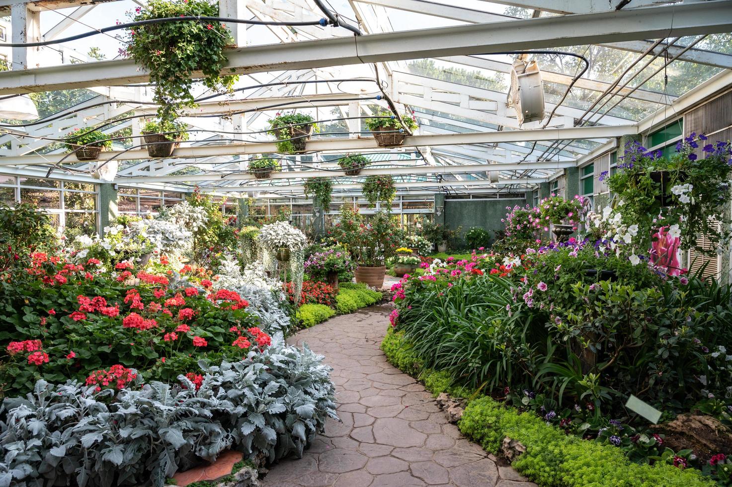 Ornamental garden planting in greenhouse in botanical garden in Chiang Mai province of Thailand. Greenhouse designed for the protection of plants against excessive cold or heat. photo