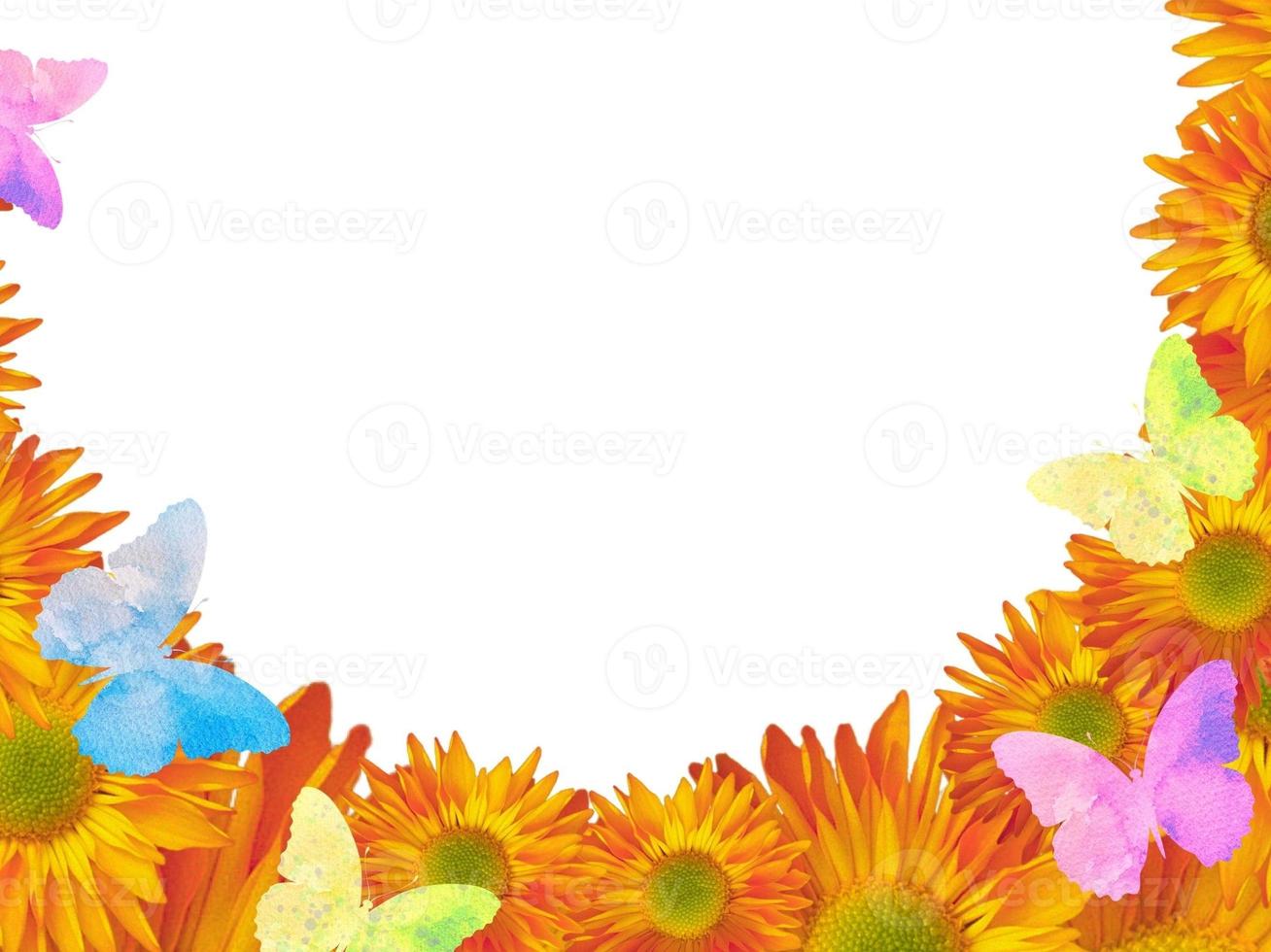 Sunflowers, daisy flowers with watercolour butterfly. Background, card, invitation, border, clipart, frame. Seasons. Botanical. Isolated. photo