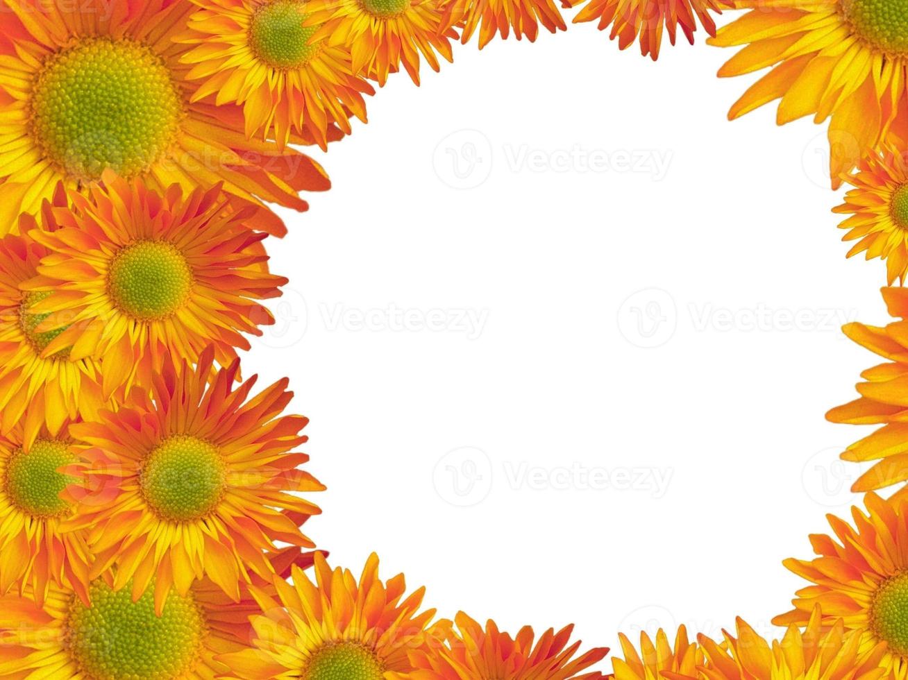 girasoles, fondo de gerbera, borde, imágenes prediseñadas, tarjeta, invitación. flores amarillas, naranjas. boda, tarjeta de cumpleaños. foto