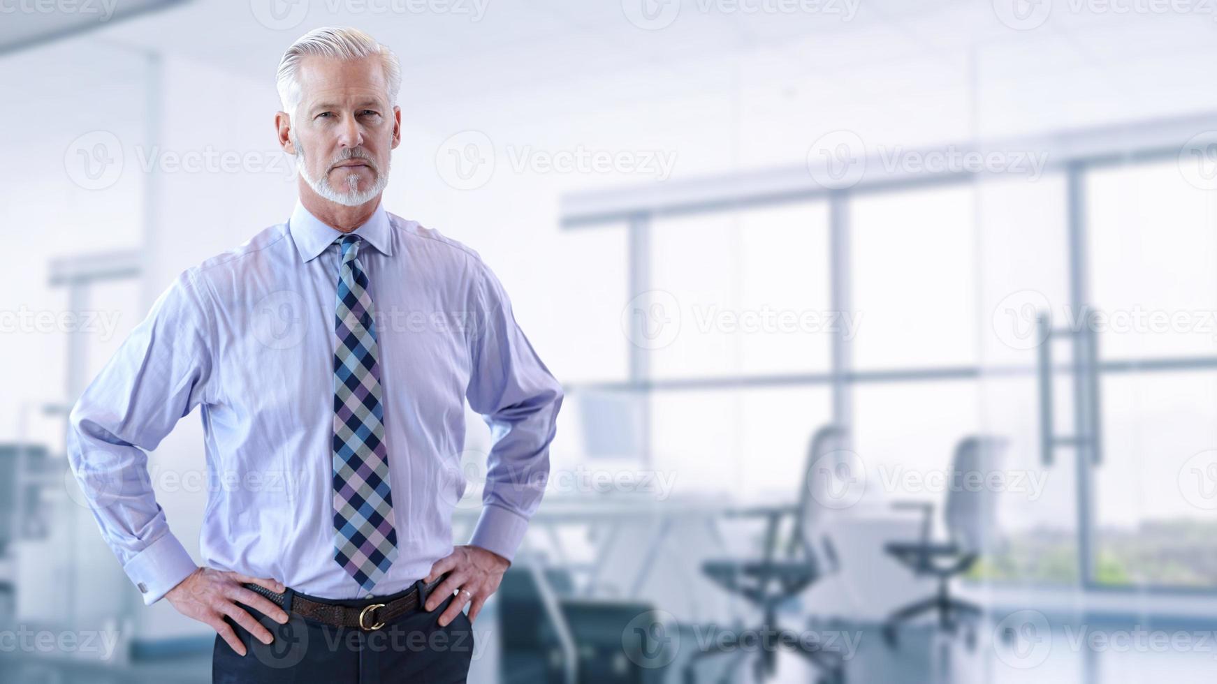 Senior businessman in his office photo