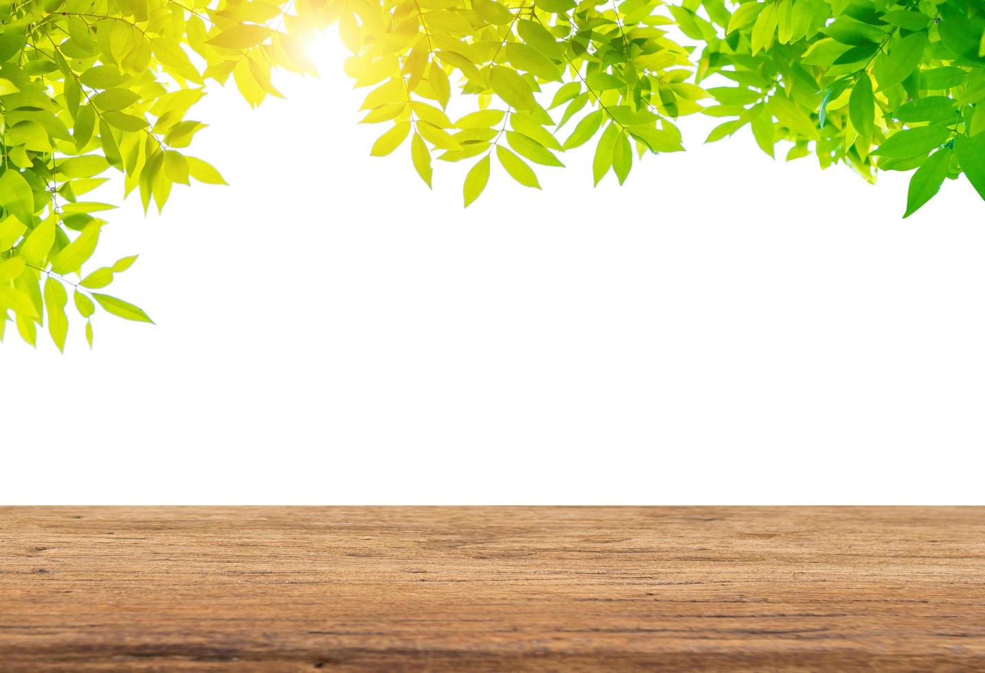 Green leaves with empty wooden table photo